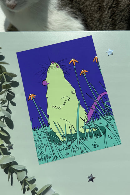 A square art print featuring a whimsical illustration of a light green rat in a grassy field under a deep purple night sky, styled on a pale surface with eucalyptus leaves and star stickers, with a cat partially visible at the top.