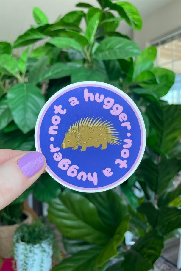 A round sticker held by a hand with purple nail polish, featuring a blue background with a gold hedgehog and the text 'not a hugger'. The sticker is photographed in front of a green potted houseplant.