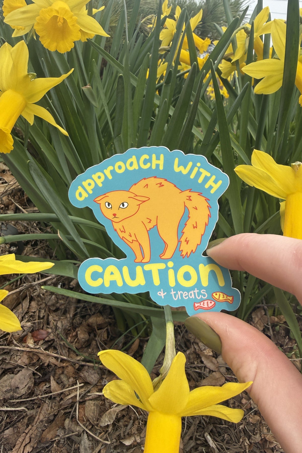 A hand holds a die-cut sticker in front of yellow daffodils. The sticker features a cartoon orange cat on a light blue background with the text 'approach with CAUTION + treats' 