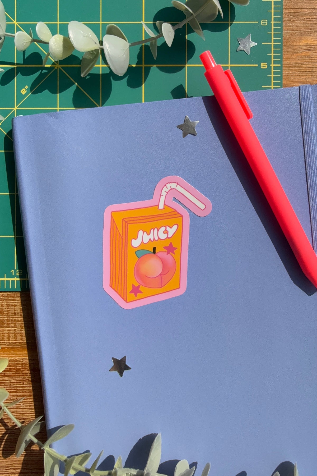 A blue notebook with a pink and orange juice carton sticker on the cover, styled on a wooden surface with a green cutting mat, eucalyptus leaves, and a red pen.